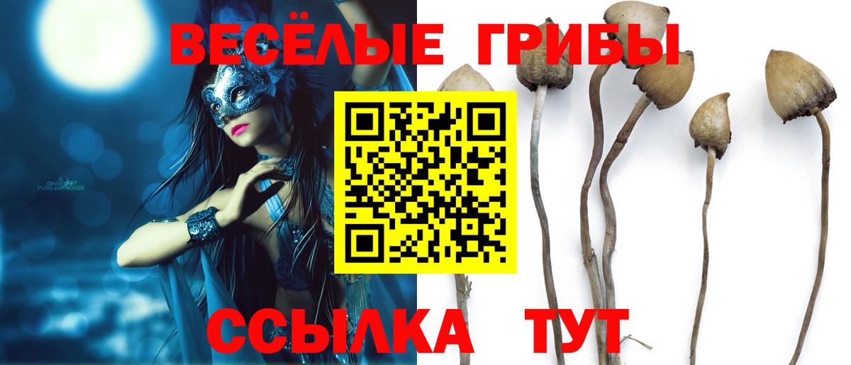 Апатиты  Псилоцибиновые грибы Magic Shrooms  Вход с VPN  магазин  наркотиков  Псилоцибиновые грибы Magic Shrooms 