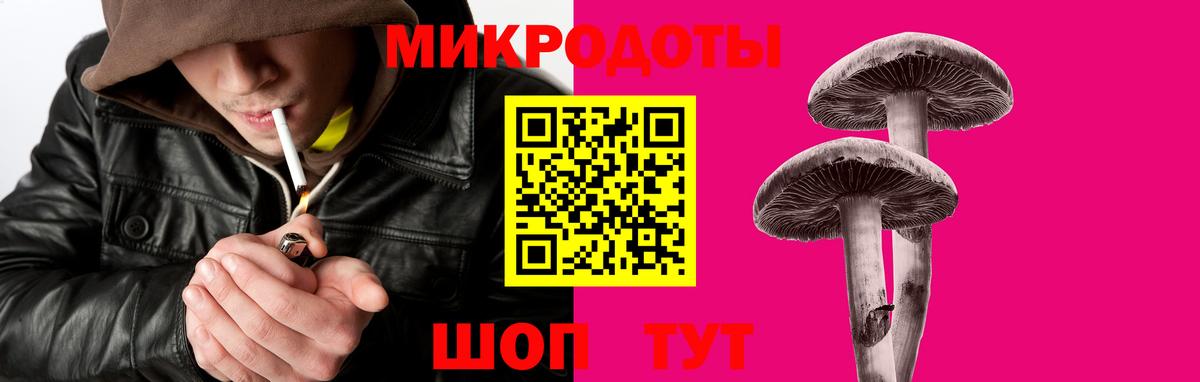 Галлюциногенные грибы мицелий Апатиты